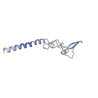 3045_3jan_g_v1-1
Structure of the scanning state of the mammalian SRP-ribosome complex