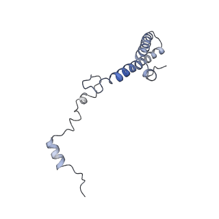 3045_3jan_h_v1-1
Structure of the scanning state of the mammalian SRP-ribosome complex
