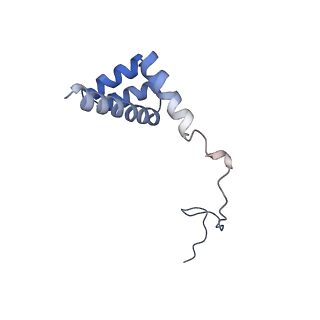 3045_3jan_i_v1-1
Structure of the scanning state of the mammalian SRP-ribosome complex