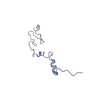 3045_3jan_j_v1-1
Structure of the scanning state of the mammalian SRP-ribosome complex
