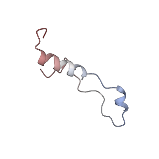 3045_3jan_l_v1-1
Structure of the scanning state of the mammalian SRP-ribosome complex