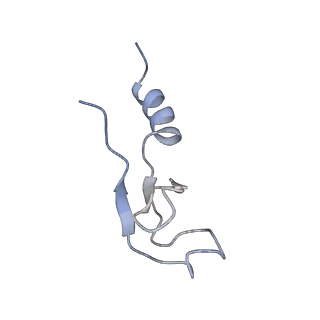 3045_3jan_m_v1-1
Structure of the scanning state of the mammalian SRP-ribosome complex
