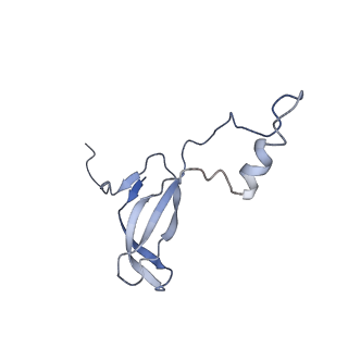 3045_3jan_o_v1-1
Structure of the scanning state of the mammalian SRP-ribosome complex