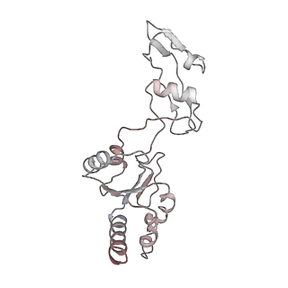 3045_3jan_q_v1-1
Structure of the scanning state of the mammalian SRP-ribosome complex