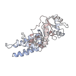 3045_3jan_z_v1-1
Structure of the scanning state of the mammalian SRP-ribosome complex