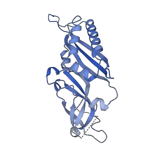 3047_3jam_B_v1-2
CryoEM structure of 40S-eIF1A-eIF1 complex from yeast