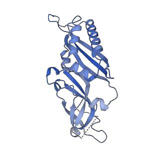 3047_3jam_B_v1-3
CryoEM structure of 40S-eIF1A-eIF1 complex from yeast