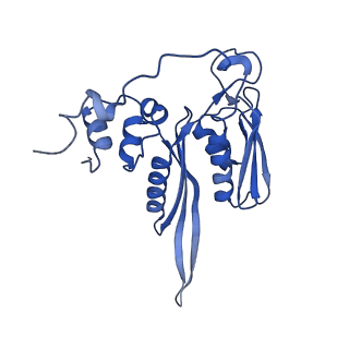 3047_3jam_C_v1-3
CryoEM structure of 40S-eIF1A-eIF1 complex from yeast