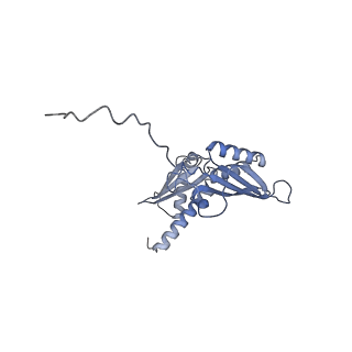 3047_3jam_D_v1-2
CryoEM structure of 40S-eIF1A-eIF1 complex from yeast