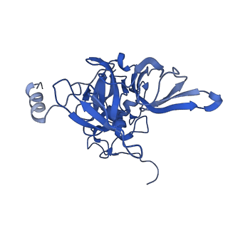 3047_3jam_E_v1-3
CryoEM structure of 40S-eIF1A-eIF1 complex from yeast