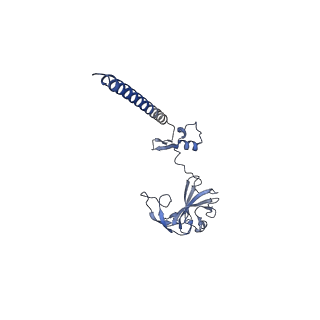 3047_3jam_G_v1-3
CryoEM structure of 40S-eIF1A-eIF1 complex from yeast