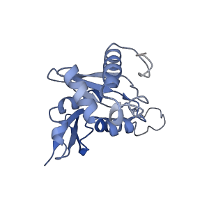 3047_3jam_H_v1-2
CryoEM structure of 40S-eIF1A-eIF1 complex from yeast