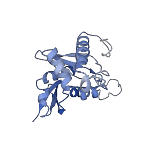 3047_3jam_H_v1-3
CryoEM structure of 40S-eIF1A-eIF1 complex from yeast