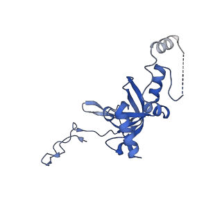 3047_3jam_I_v1-2
CryoEM structure of 40S-eIF1A-eIF1 complex from yeast