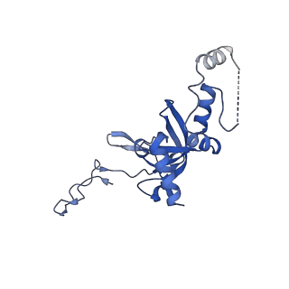 3047_3jam_I_v1-3
CryoEM structure of 40S-eIF1A-eIF1 complex from yeast
