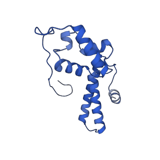 3047_3jam_N_v1-3
CryoEM structure of 40S-eIF1A-eIF1 complex from yeast