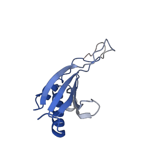 3047_3jam_O_v1-3
CryoEM structure of 40S-eIF1A-eIF1 complex from yeast