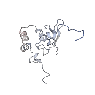 3047_3jam_P_v1-3
CryoEM structure of 40S-eIF1A-eIF1 complex from yeast