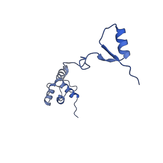 3047_3jam_R_v1-2
CryoEM structure of 40S-eIF1A-eIF1 complex from yeast