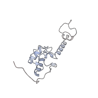 3047_3jam_S_v1-3
CryoEM structure of 40S-eIF1A-eIF1 complex from yeast