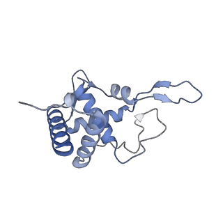 3047_3jam_T_v1-2
CryoEM structure of 40S-eIF1A-eIF1 complex from yeast