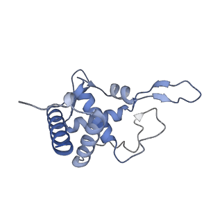 3047_3jam_T_v1-3
CryoEM structure of 40S-eIF1A-eIF1 complex from yeast