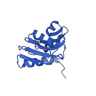 3047_3jam_W_v1-2
CryoEM structure of 40S-eIF1A-eIF1 complex from yeast
