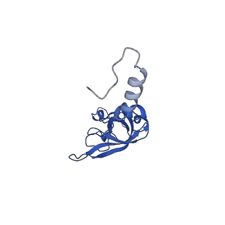 3047_3jam_X_v1-3
CryoEM structure of 40S-eIF1A-eIF1 complex from yeast