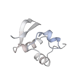 3047_3jam_Z_v1-3
CryoEM structure of 40S-eIF1A-eIF1 complex from yeast