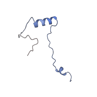 3047_3jam_e_v1-2
CryoEM structure of 40S-eIF1A-eIF1 complex from yeast