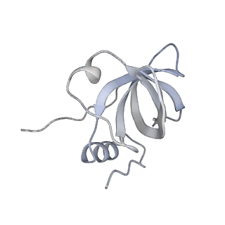 3047_3jam_i_v1-3
CryoEM structure of 40S-eIF1A-eIF1 complex from yeast