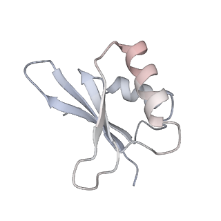 3047_3jam_j_v1-2
CryoEM structure of 40S-eIF1A-eIF1 complex from yeast