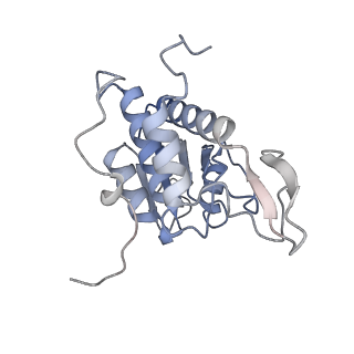 3048_3jap_A_v1-2
Structure of a partial yeast 48S preinitiation complex in closed conformation