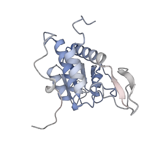 3048_3jap_A_v1-3
Structure of a partial yeast 48S preinitiation complex in closed conformation