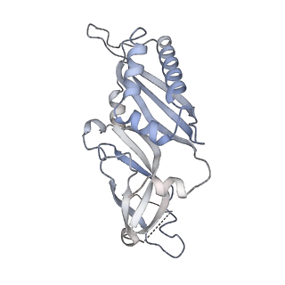 3048_3jap_B_v1-2
Structure of a partial yeast 48S preinitiation complex in closed conformation