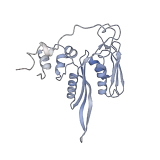 3048_3jap_C_v1-2
Structure of a partial yeast 48S preinitiation complex in closed conformation
