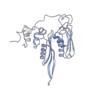 3048_3jap_C_v1-3
Structure of a partial yeast 48S preinitiation complex in closed conformation