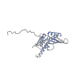 3048_3jap_D_v1-2
Structure of a partial yeast 48S preinitiation complex in closed conformation