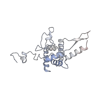 3048_3jap_F_v1-2
Structure of a partial yeast 48S preinitiation complex in closed conformation