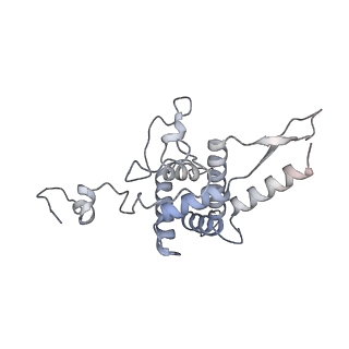 3048_3jap_F_v1-3
Structure of a partial yeast 48S preinitiation complex in closed conformation