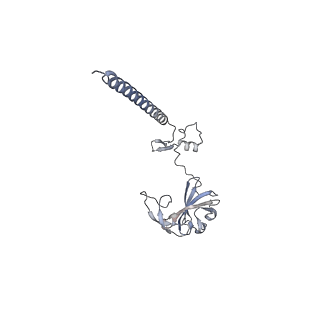 3048_3jap_G_v1-3
Structure of a partial yeast 48S preinitiation complex in closed conformation