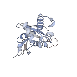 3048_3jap_H_v1-3
Structure of a partial yeast 48S preinitiation complex in closed conformation