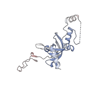 3048_3jap_I_v1-3
Structure of a partial yeast 48S preinitiation complex in closed conformation