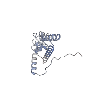 3048_3jap_J_v1-3
Structure of a partial yeast 48S preinitiation complex in closed conformation