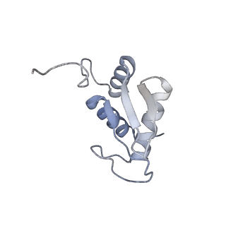 3048_3jap_K_v1-2
Structure of a partial yeast 48S preinitiation complex in closed conformation