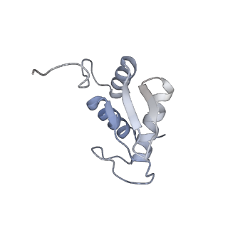 3048_3jap_K_v1-3
Structure of a partial yeast 48S preinitiation complex in closed conformation