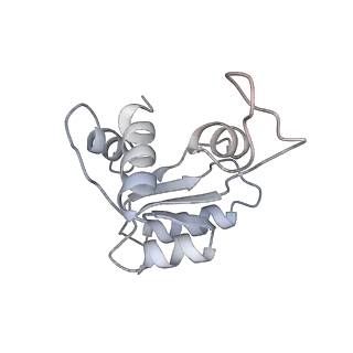 3048_3jap_M_v1-2
Structure of a partial yeast 48S preinitiation complex in closed conformation