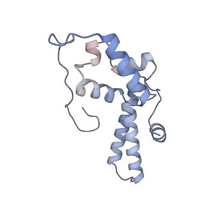 3048_3jap_N_v1-2
Structure of a partial yeast 48S preinitiation complex in closed conformation