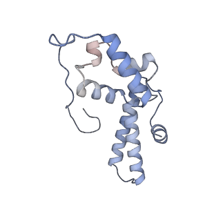 3048_3jap_N_v1-3
Structure of a partial yeast 48S preinitiation complex in closed conformation