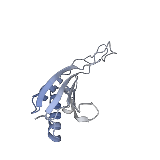3048_3jap_O_v1-2
Structure of a partial yeast 48S preinitiation complex in closed conformation